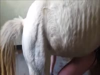 Homemade horse sex with a bitch